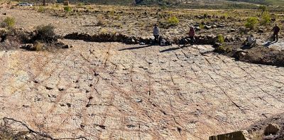Over 16,000 dinosaur tracks discovered at a site in Bolivia