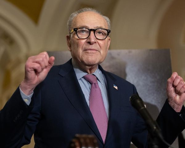 Schumer to ask Senate to back legal action over partial Epstein files release
