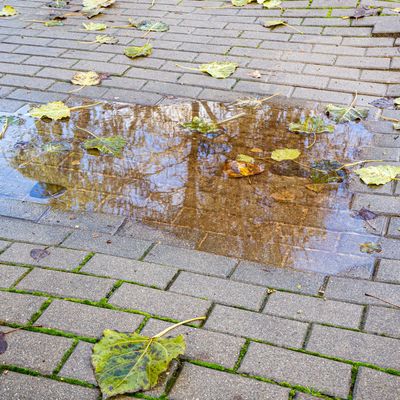 What are sustainable drainage systems? They're not just a necessity — they can also protect your home as well as improve its kerb appeal, say the experts