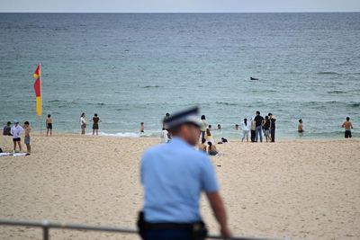 Australia’s gun laws have long been the envy of the world. They must remain so, especially after Bondi
