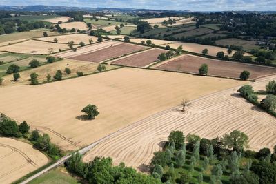 UK on track for record-breaking warmest year