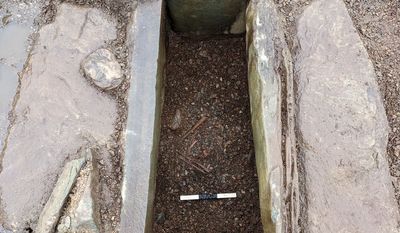 Fresh details emerge on remains of two Bronze Age people found by farmer
