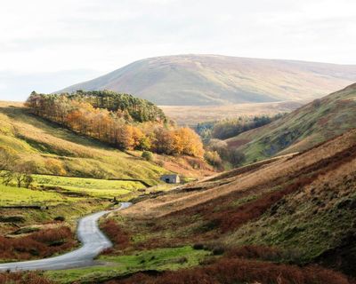 Forecasters say 2025 ‘more likely than not’ to be UK’s hottest year on record