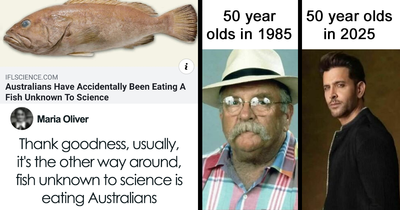 79 Funny Random Memes That Are Somehow Exactly What You Needed Today