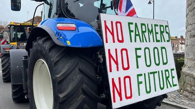 Animal welfare proposals that critics warn could leave British farmers at a disadvantage to overseas competitors