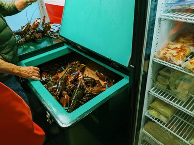 Farage Slams UK's Live Lobster Boil Ban: 'Control Freakery' in New Cruelty Crackdown