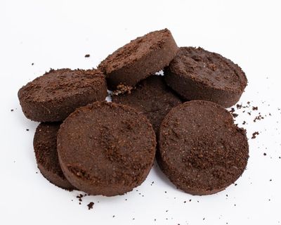 Houseplant hacks – are used coffee grounds good for plants?