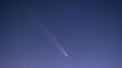 3I/ATLAS Update: Harvard Expert Avi Loeb Says Comet's Rank Stays as 2026 Jupiter Date Looms