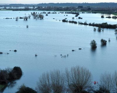 Sign of a wet sense of humour in Somerset
