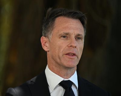 NSW passes controversial new gun and protest laws in wake of Bondi attacks after marathon debate