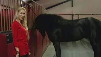 Woman who tried to have her husband killed is dead, and what happened between them after she left prison is hard to believe