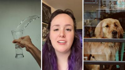 Chicago woman throws large McDonald’s cup of water on woman and her dog. Now people are applauding her: ‘What I wouldn’t give to see footage of this’