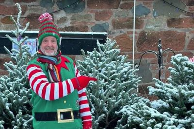 Renting Christmas tree growing more popular to cut waste, says business