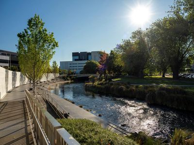 After more than a decade of tragedy, Christchurch emerges as New Zealand’s most ‘vibrant city’