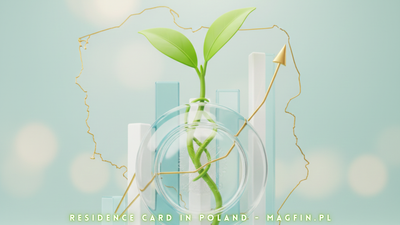 Mistakes of 2025 to Avoid in 2026: Why Business Owners Are Being Refused Residence Cards in Poland