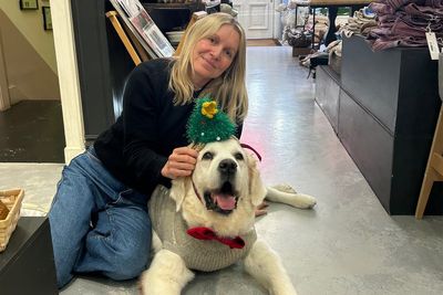 Is it wrong to dress my dog in a Christmas jumper this year