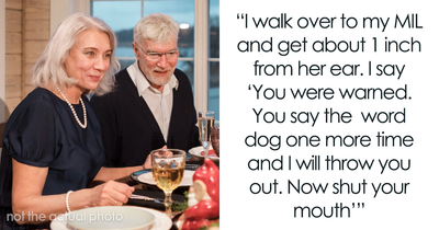 Toxic MIL Smirks While Poking At Grieving Kid Over Her Lost Dog On Christmas, Dad Blows Up At Her