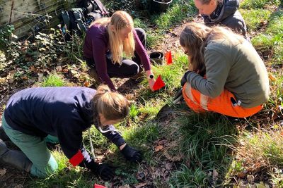 One of UK’s rarest plants found growing on public footpath