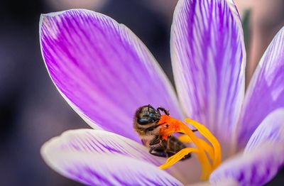 10 Garden Trends Set to Take Over in the New Year