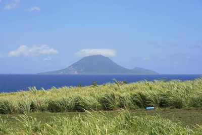 Sugar Prices See Continued Support from Safras Forecasts for 2026/27