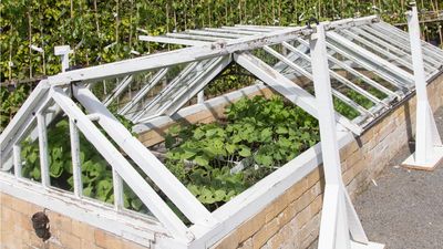 Now Is the Time to Install a Cold Frame – 5 Types to Save Your Plants From Frost and Get Your Plants Growing Earlier