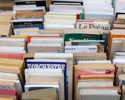 How the French fell in love with family-driven memoirs and autofiction