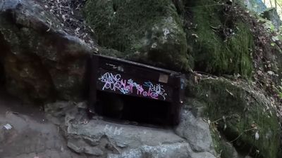 Brothers find cave entrance called ‘hell hole’ and decide to crawl inside, unaware of what waited for them at the bottom