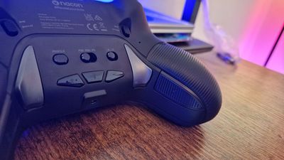 How to assign back buttons on a new pro controller, and the settings I recommend based on 20+ reviews