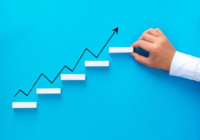 Grocery Chain Forecasts Higher Annual Sales Amid Staple Demand Surge