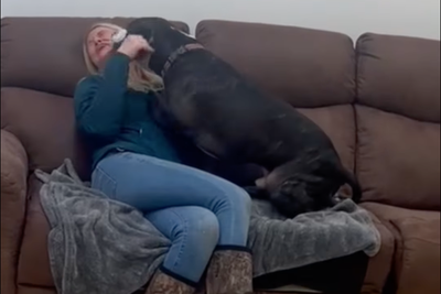 Social media luck helps family reunite with dog that had been missing for 4 years: ‘It did not feel real at all’