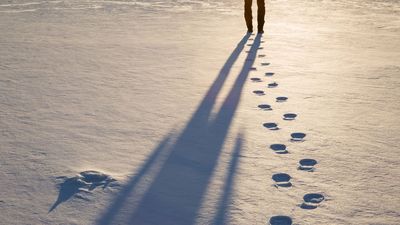 What Defines Wealth: Soul or Silver? Good King Wenceslas' Enduring Legacy in the Snow