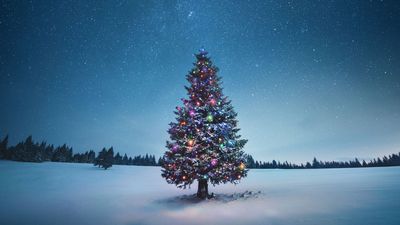 Christmas 2025 skywatching guide: What you can see in the night sky on Dec. 25