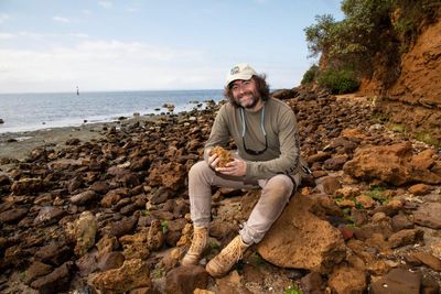 ‘All you need are your eyes’: a stretch of Victorian shore is a magnet for fossil fossickers