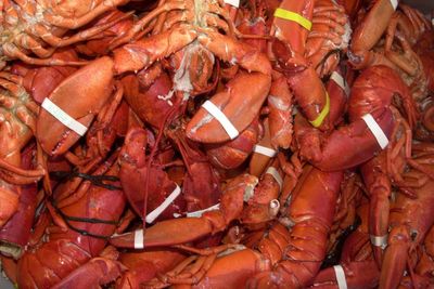 Claws off! Shipment of $400K worth of lobsters is hijacked en route to Costco stores