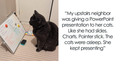 27 Of The Most Bizarre Things People Ever Seen Just Taking A Glance Through A Neighbor’s Window