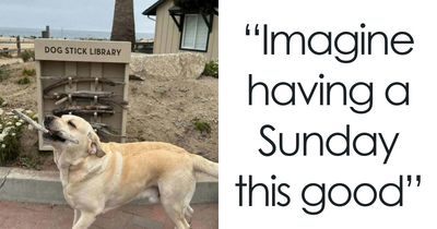 103 Funny And Wholesome Posts Featuring Animals To Cleanse Your Feed