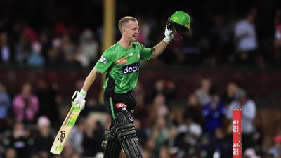 Harper breaks BBL records in maiden Stars century