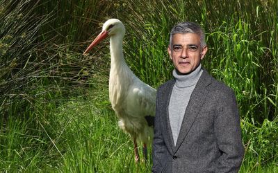 OPINION - Sadiq Khan: I want to rewild London. First storks, then beavers (yes, really)