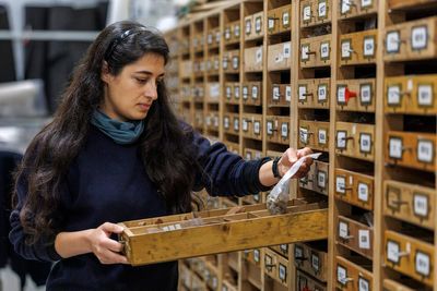 Tens of thousands of artefacts undergo meticulous recataloguing in Northern Ireland’s storehouse