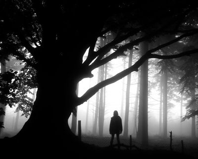 The best recent crime and thrillers – review roundup