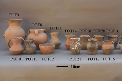 Archaeologists uncover Bronze Age Chinese secret to brewing red rice wine