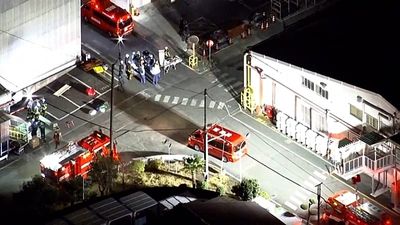 More than a dozen people injured in a knife and chemical attack at a factory in Japan