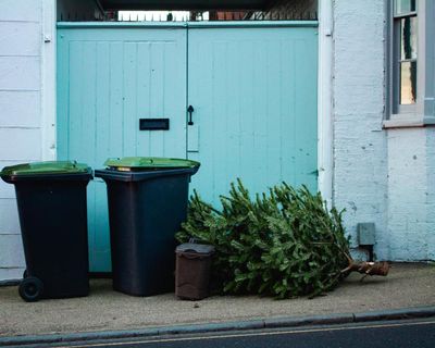 Five things to do with holiday waste, from treecycling to new year organization