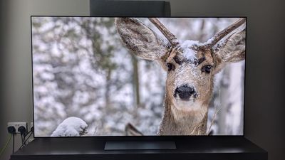 These are the 5 best TVs I tested in 2025, from flagship OLEDs to affordable mini-LEDs