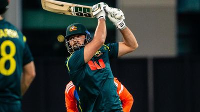 T20 World Cup watch for Tim David after injury setback