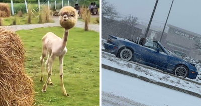 40 Interesting Things People Discovered And Thought You Should Too (New Pics)