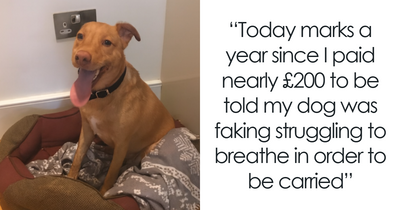 People Are Loving This FB Account That Shares Animal Memes And Here Are 50 Of The Best