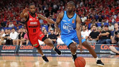 Phoenix add experienced import in NBL title hunt