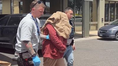 Alleged grinch charged over Christmas crimewave