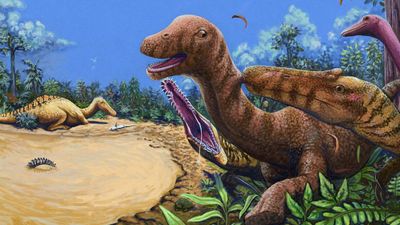 Spinosaurus relative longer than a pickup truck stalked Thailand's rivers 125 million years ago